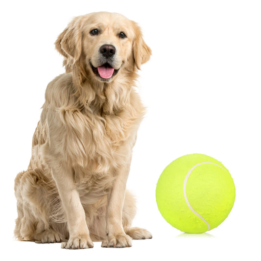9.5 Inch Oversize Giant Tennis Balls Inflatable Tennis Ball Dog Toy Balls For Signature Children Adult Pets Dogs Cats Fun